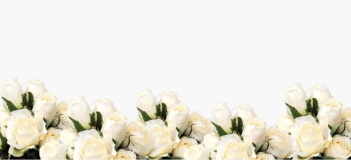 Screenshot 2026 0209 023931.png