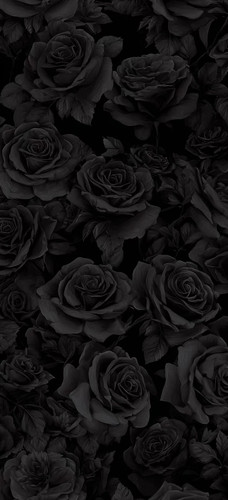 Image 1770577065375 790.jpg