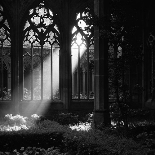 Image 1770576798865 621.jpg