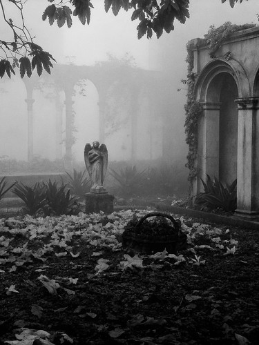 Image 1770576855293 162.jpg