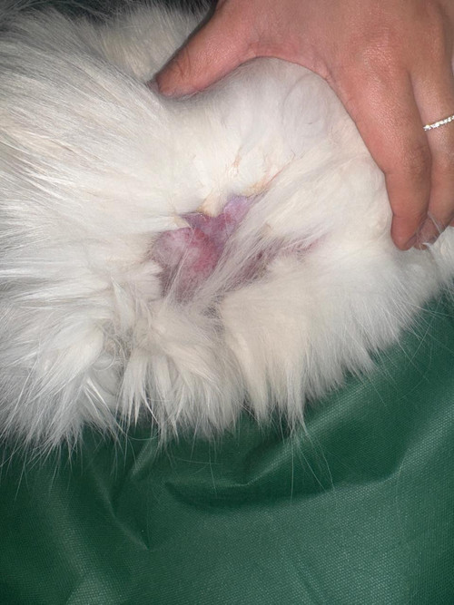 2be4abbd ce6d 497e 8728 57e422b56e7c