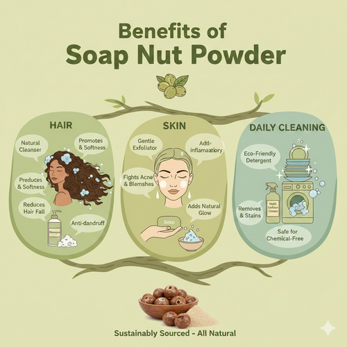Benefits of Soap Nut Powder for Hair, Skin & Daily Cleaning.png
