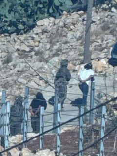رئيس بلدية طمون أكد أن قوات الاحتلال اعتقلت أكثر من 10 فلسطينيين من البلدة حتى الآن خلال عدوانها المستمر....