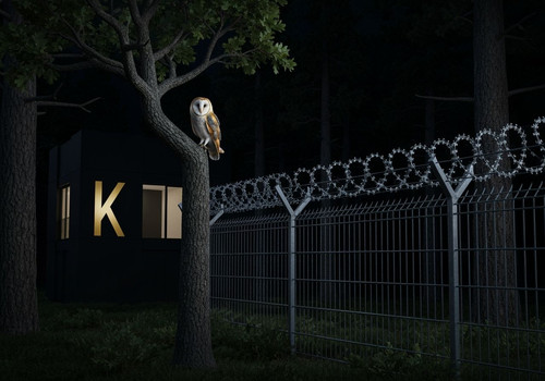 VmVmnbOinOGO75cg75Km 0 968dl.jpg