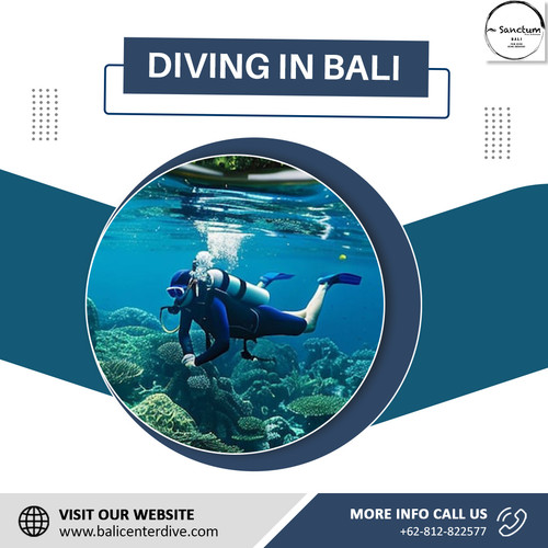 Diving in Bali copy.jpg