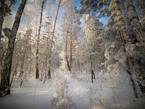 DSC05443.jpg