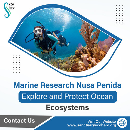 Marine Research Nusa Penida – Explore and Protect Ocean Ecosystems.jpg