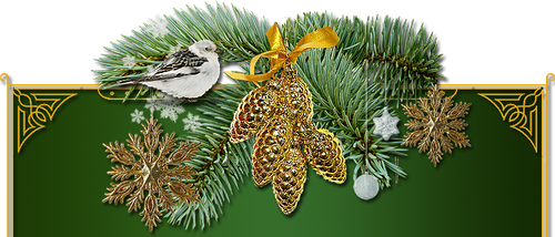 зимушка ЗИМА 01.png