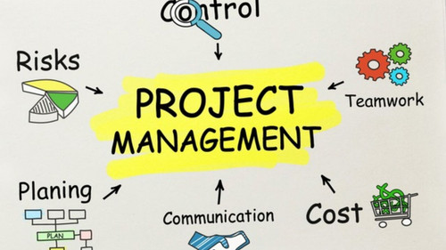 project management mars manufacturers.jpg