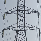 T21c