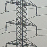 T11c