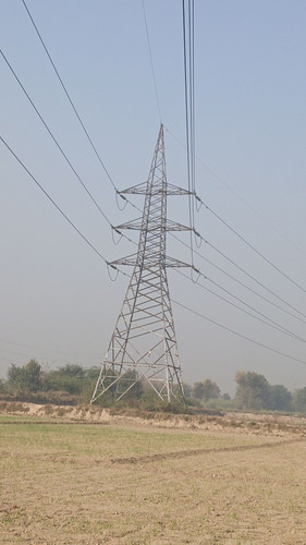 T12.jpg