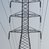 T19c