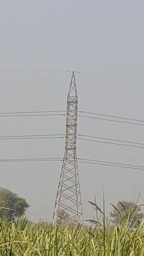 T60.jpg