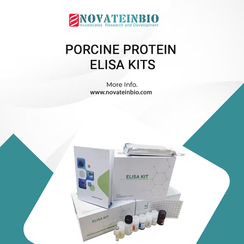 Porcine Protein ELISA Kits.png