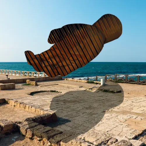 Coaxial Carotid.webp