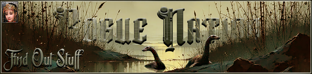 Rogue-Nation Discussion Board