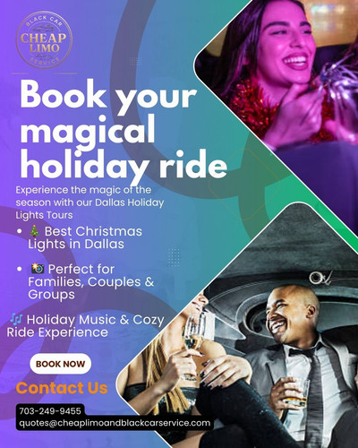 Dallas Holiday Lights Tours.jpg