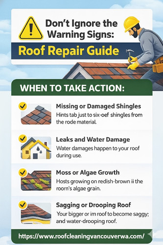 Don’t Ignore the Warning Signs Roof Repair Guide.jpg
