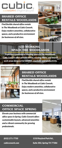 Shared Office Rentals Woodlands.jpg