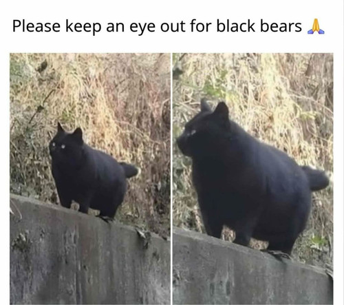 584521703 1607377253962900 5591317091653684229 n.jpg