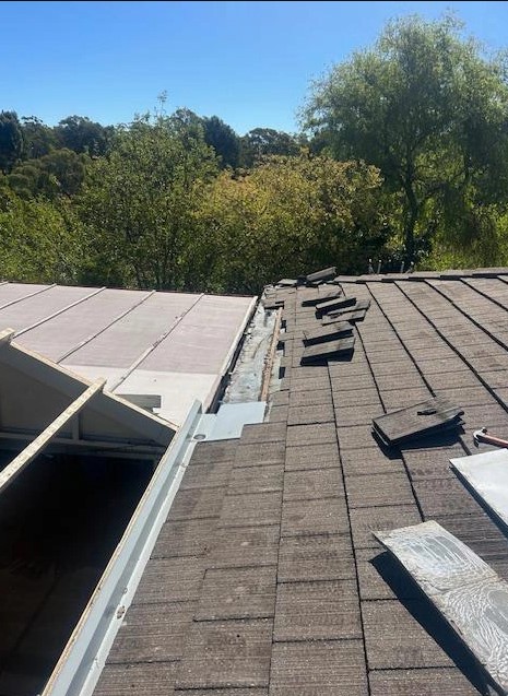 Local roof painting Adelaide.jpg