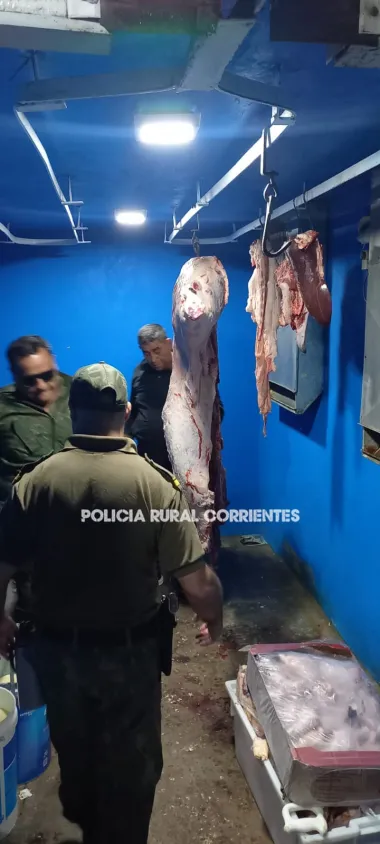 LA POLICÍA SECUESTRÓ CARNE NO APTA PARA CONSUMO EN EL INTERIOR DE CORRIENTES