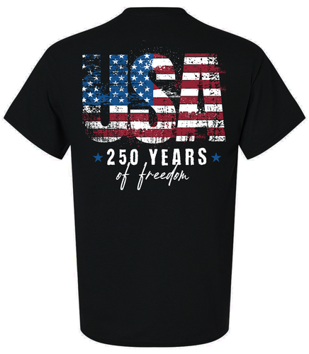 fnrp250yearsusadisss black.png