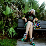 wonderland mimosa pk 17