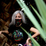 wonderland mimosa pk 23