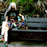 wonderland mimosa pk 36