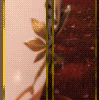 eg4e.gif