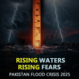 WhatsApp Image 2026 01 12 at 12.26.04 PM