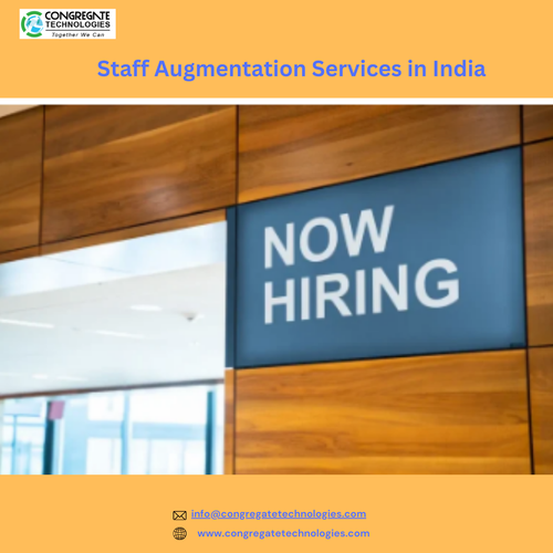 Staff Augmentation Services in India.png