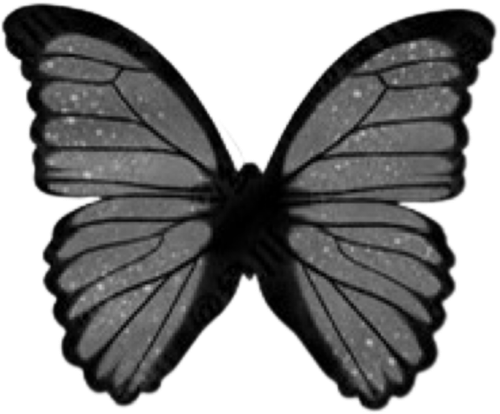 IMG 7096.png