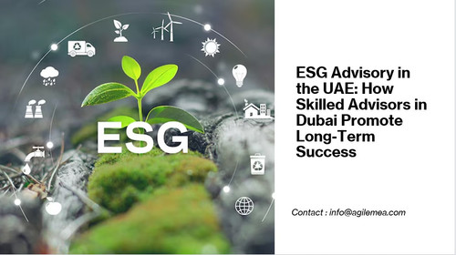 ESG.jpg