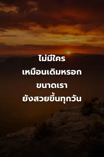 abd593182ae9.webp