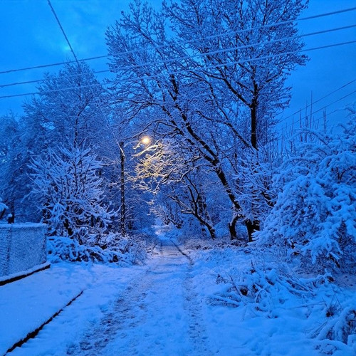 IMG 0160.jpg
