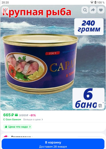 IMG 20260121 202051 685.jpg