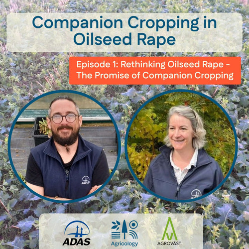 G LO7bSWMAEMk1u?format=jpg.jpg