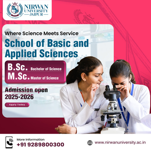 BSc colleges in Jaipur, Nirwan University Jaipur.jpg