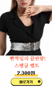 스팽글벨트광고 (1).png