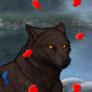 Petals pfp.png