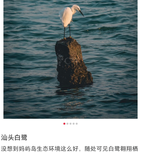 1000024700.png