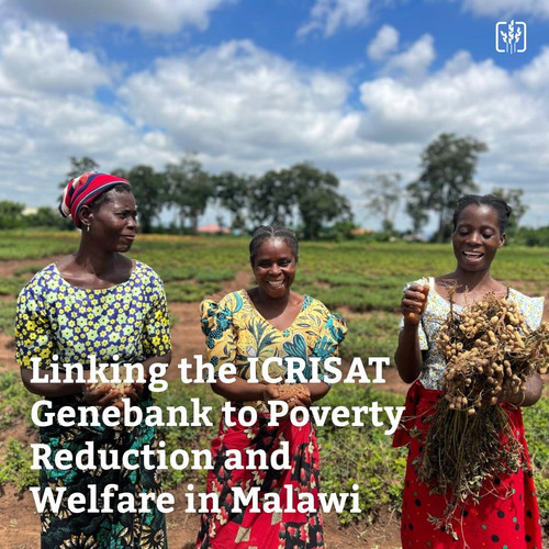 G MAvpgXwAAK6KS?format=jpg.jpg