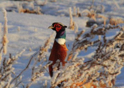 G MtctnW8AAtCL2?format=jpg.jpg