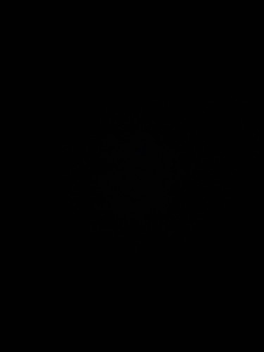 1000069309.jpg