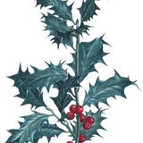 element EF (25).png