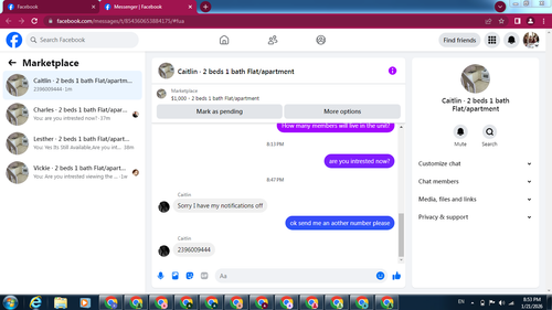 caitlin2.png