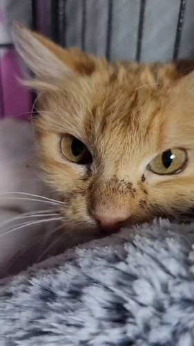 uJcRsTwC7KQyiLTz.jpg